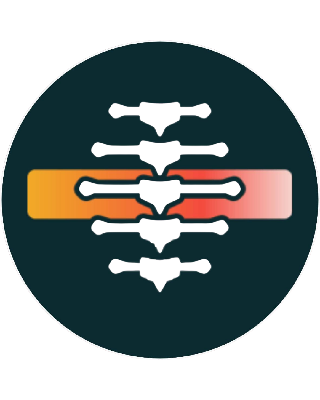 Logo klinike Chiromed Wellness Centers